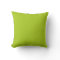 Key Lime Green Yellow Solid Trend Colour Backgroun