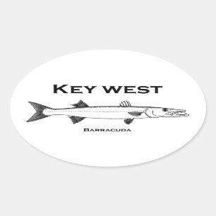 Key West Barracuda Oval Sticker