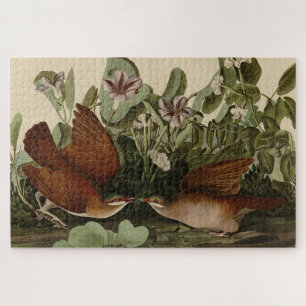 Key-west Dove, Quail-Dove Audubon Birds of America Jigsaw Puzzle