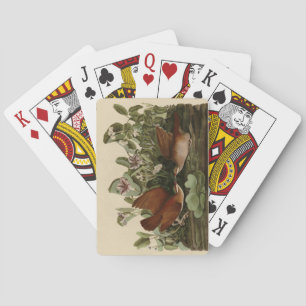Key-west Dove, Quail-Dove Audubon Birds of America Playing Cards