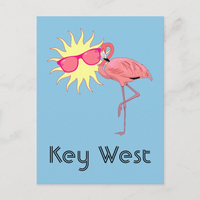 Key West Flamingo  Postcard (Front)