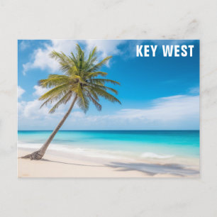 Key West Florida Beach Ocean Palm Tree Travel Postcard