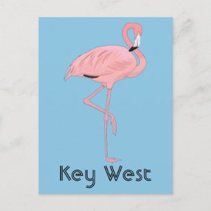 Key West Florida Pink Flamingo Postcard