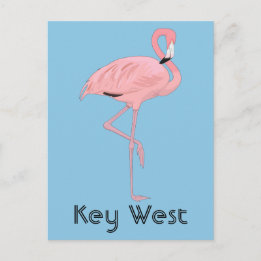 Key West Florida Pink Flamingo Postcard