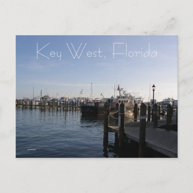 Key West, Florida Postcard (Front)