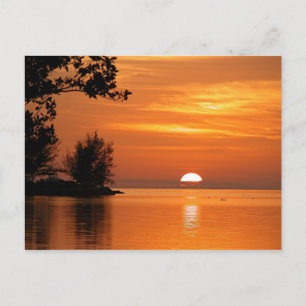 Key West Florida Sunset Postcard