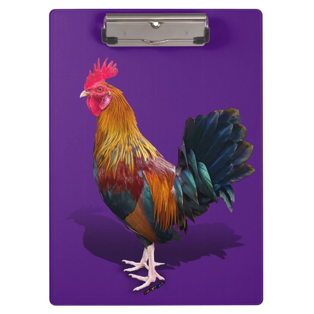 Key West - Gypsy Rooster  Clipboard (Front)