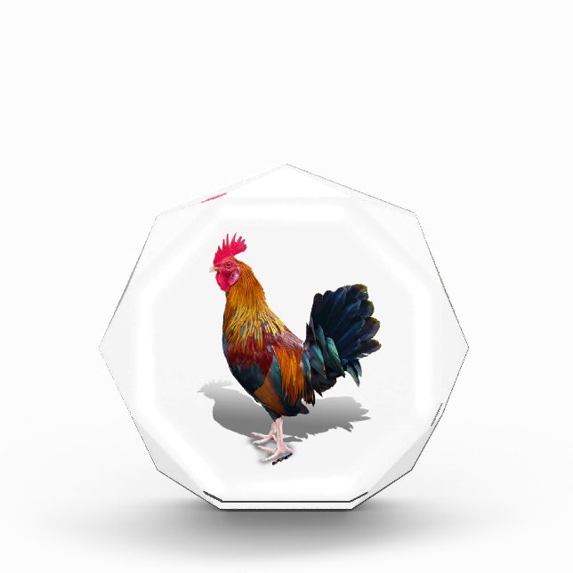 Key West - Gypsy Rooster Photo Block (Front)
