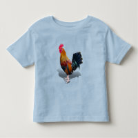 Key West - Gypsy Rooster