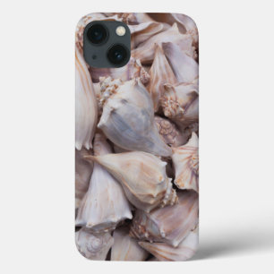 Key West, seashells iPhone 13 Case