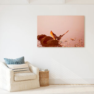 Key West Shorebird Sunset Rocks Florida Keys Canvas Print