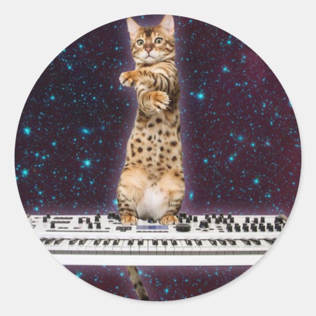 Keyboard cat strikes again classic round sticker (Front)