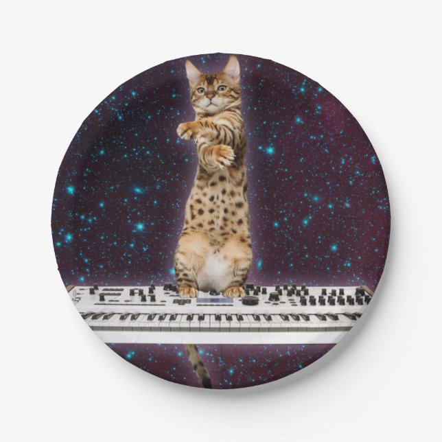 Keyboard cat strikes again paper plate (Front)