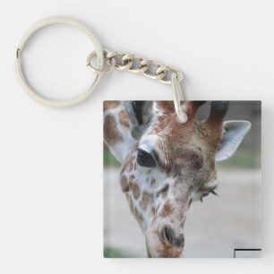 keychain acrylic keychains - Customised