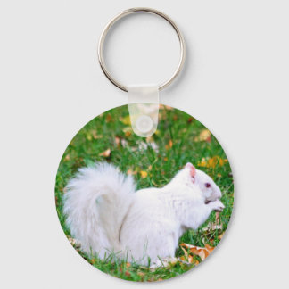 Keychain - Albino Squirrel