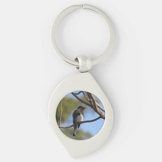 Keychain - Black Phoebe (Front)