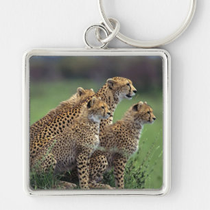 Keychain-Cheetah's Keychain