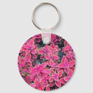 Keychain Coleus Plants Pink