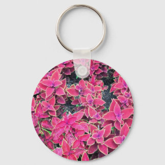 Keychain Coleus Plants Pink