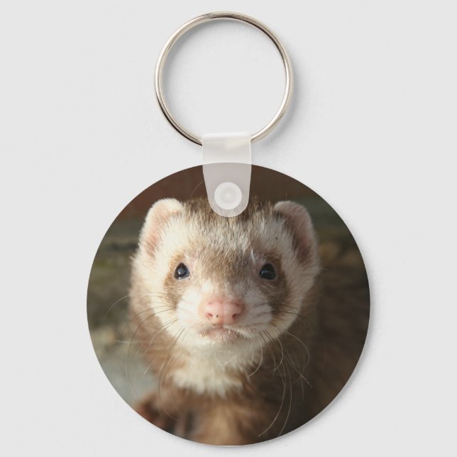 Keychain Ferret close-up (Front)