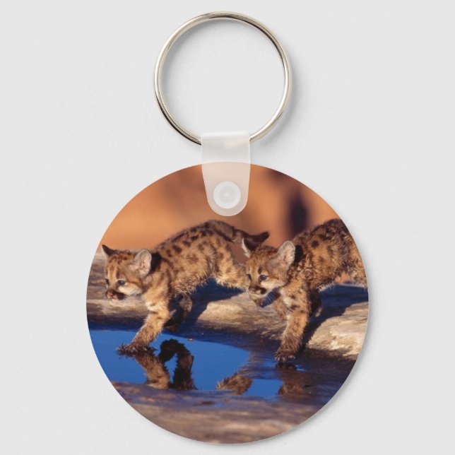 Keychain-Mountain Lion Cubs Key Ring (Front)