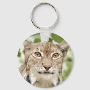 keychain photo lynx , cat , animals .