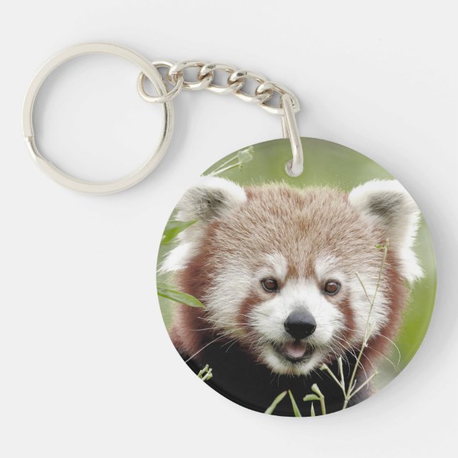 keychain photo red panda 0075. (Front)