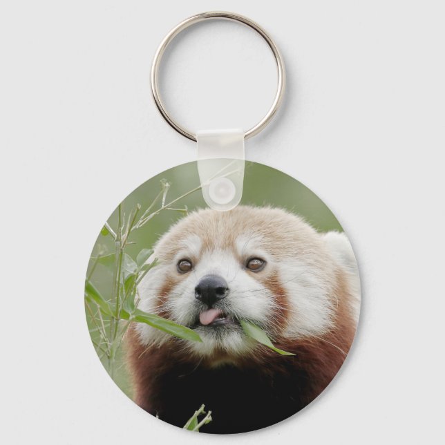 keychain Photo red panda , animals 0325. (Front)