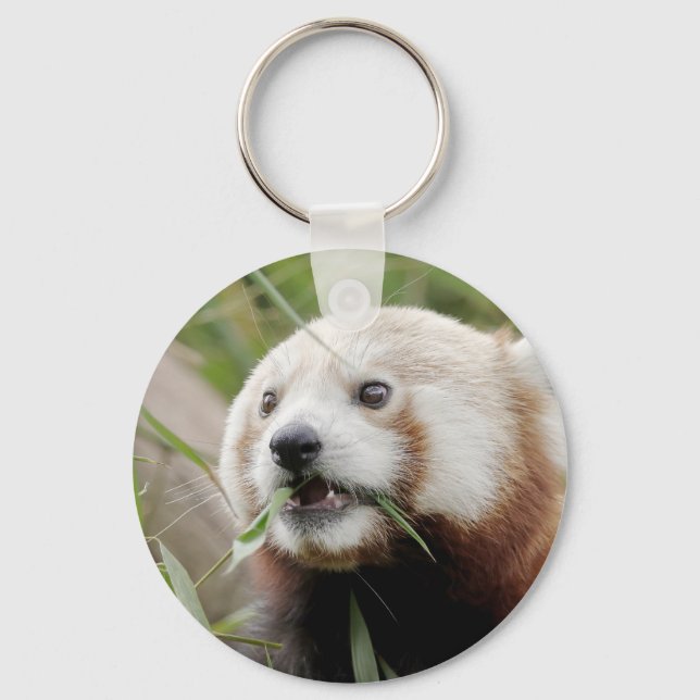 keychain Photo red panda , animals 0326. (Front)