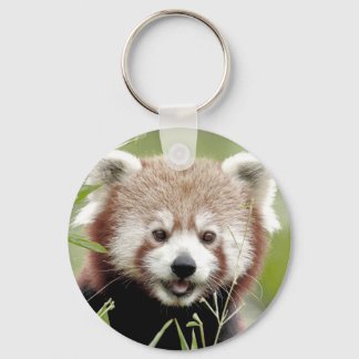 Keychain photo red panda. Panda roux.