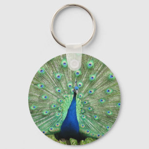 Keychain - Proud Peacock