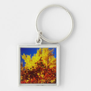 Keychain with Fall photo