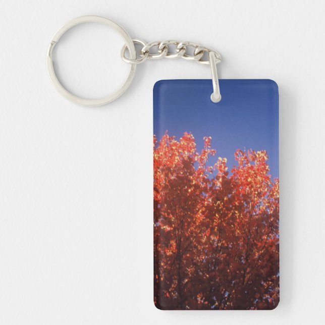 Keychain with original Fall picture (Front)