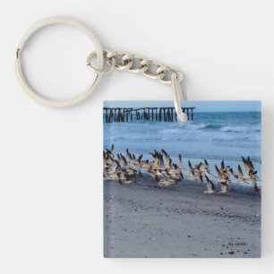 Keychain with picture of birds, black skimmers