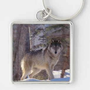 Keychain-Wolf Keychain