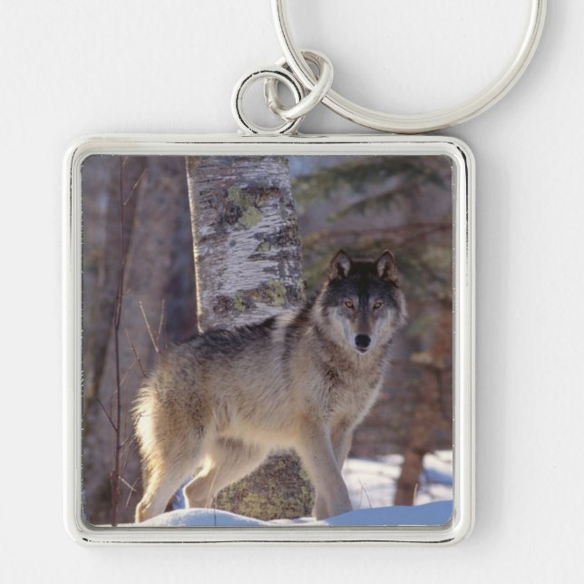 Keychain-Wolf Keychain (Front)