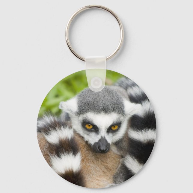 Keyring - Cute Lemur Stripey Tail (Front)