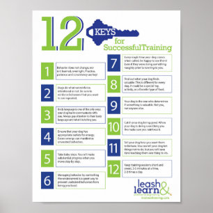 Keys for Successful Dog Training Poster