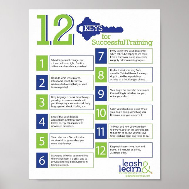 Keys for Successful Dog Training Poster (Front)
