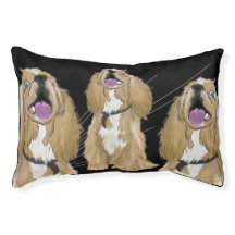 Keys the Miniature cocker spaniel