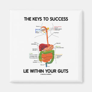 Keys To Success Lie Within Your Guts (Digestive) Magnet