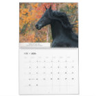 KFPS Friesian Stallion Calendar