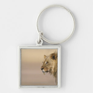 Kgalagadi Transfrontier Park, Northern Cape Key Ring