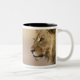 Kgalagadi Transfrontier Park, Northern Cape Two-Tone Coffee Mug