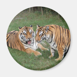 khan-n-china009 magnet