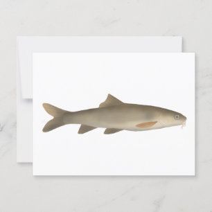 Khont Postcard