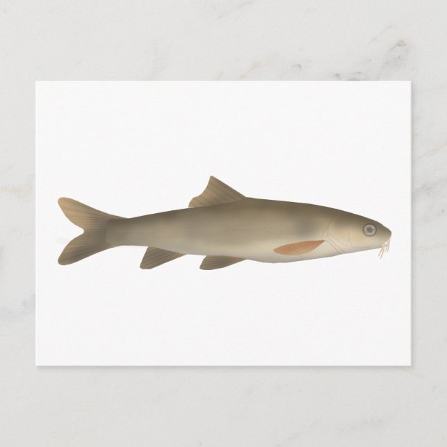 Khont Postcard (Front)