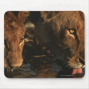 Khwai River, Moremi Wildlife Reserve, Botswana Mouse Pad
