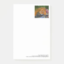 Kia the cat large notes