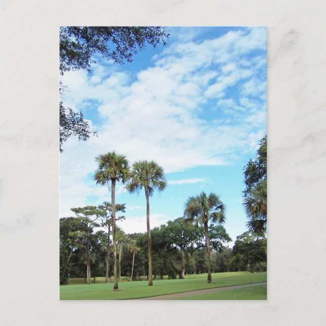 Kiawah Island Postcard (Front)